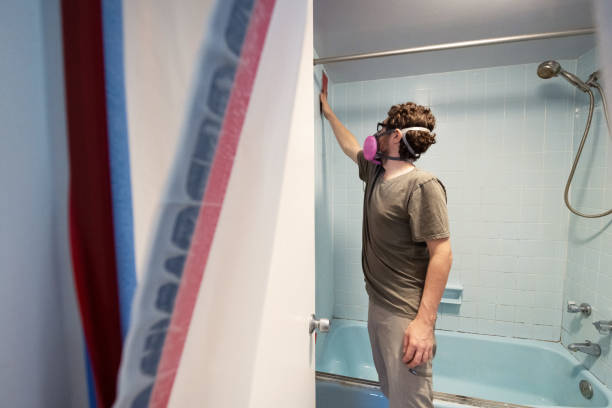 Reliable Crestview Hills, KY Mold Removal Solutions
